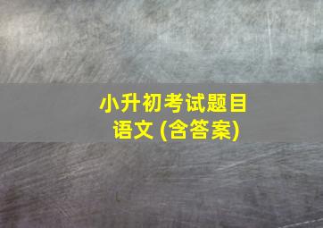 小升初考试题目语文 (含答案)